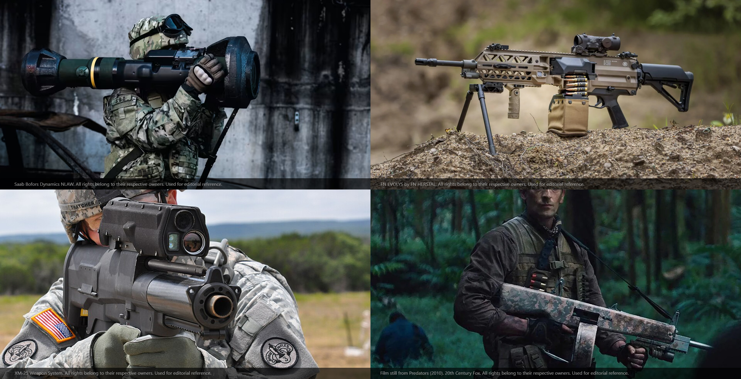 Expert and specialized weapon assets