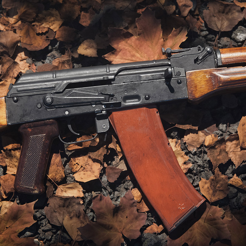AK 545 Family — cover banner