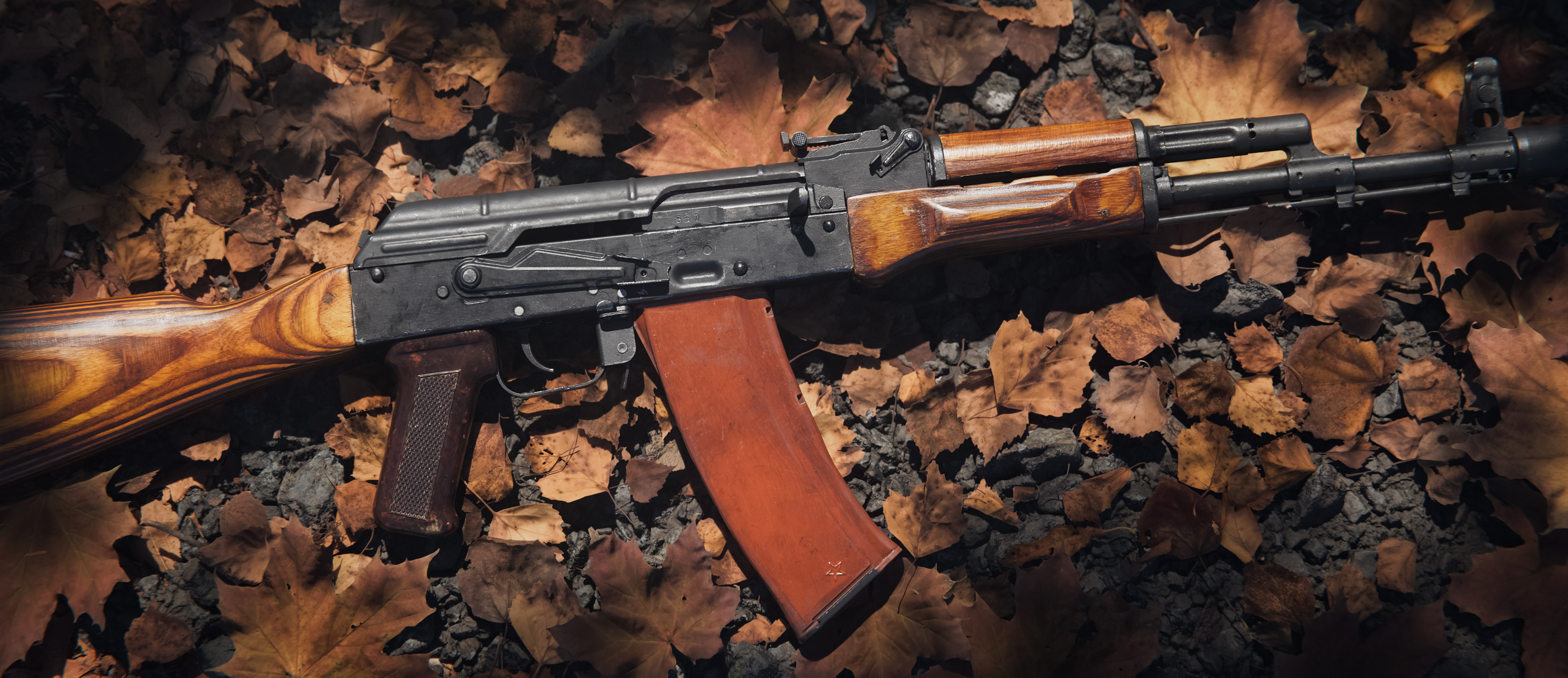 AK 545 Family — cover banner